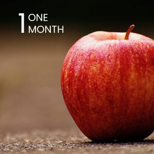 Nutrition Services: One Month