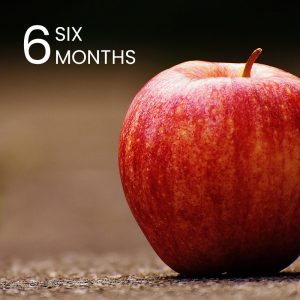 Nutrition Services: Six Months